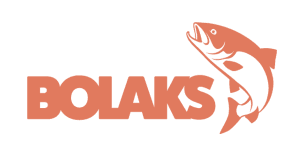Bolaks